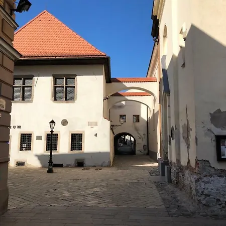 Old Town Podtatranskeho Apartment *