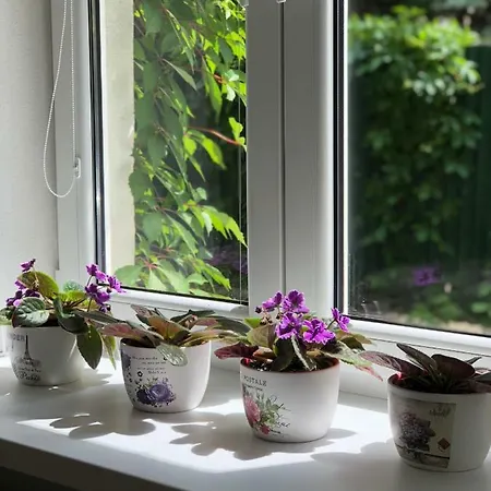 Old Town Podtatranskeho *