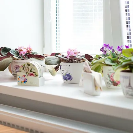 Old Town Podtatranskeho Apartment