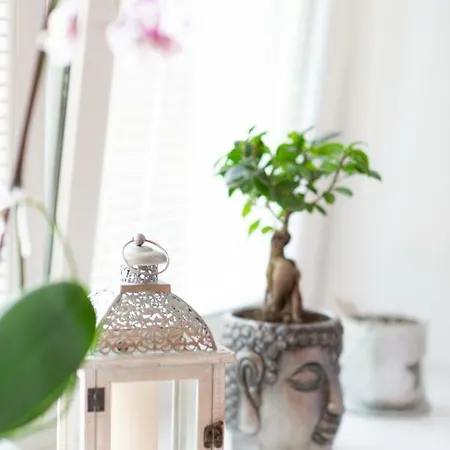 Old Town Podtatranskeho *