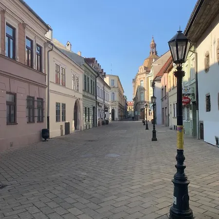 Old Town Podtatranskeho *